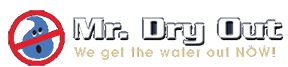 Mr. Dry Out — water extraction & mold remediation